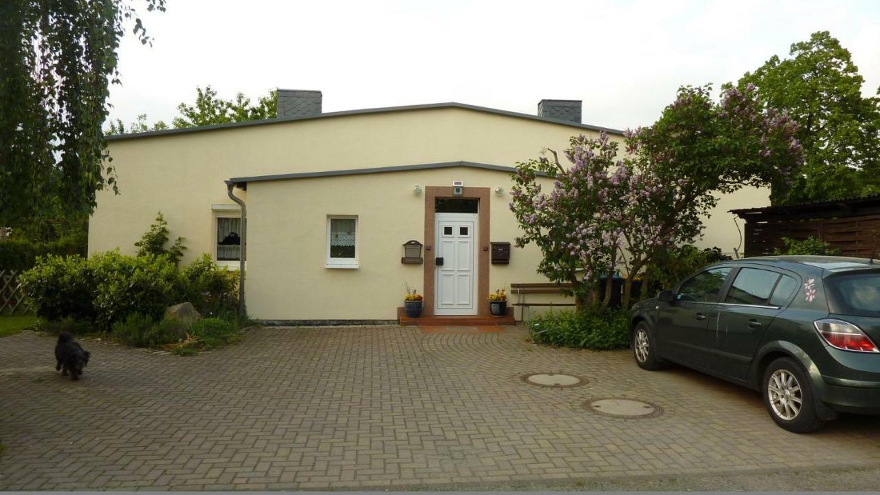 Pension Rosenvilla Sedlitz Luaran gambar